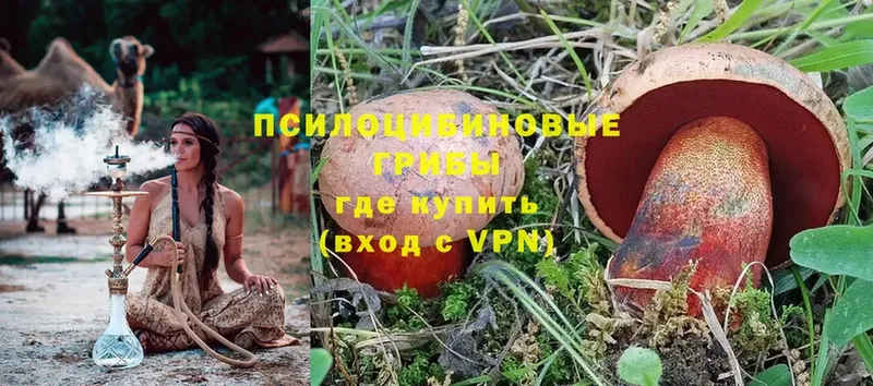 Псилоцибиновые грибы MAGIC MUSHROOMS  Петровск-Забайкальский 